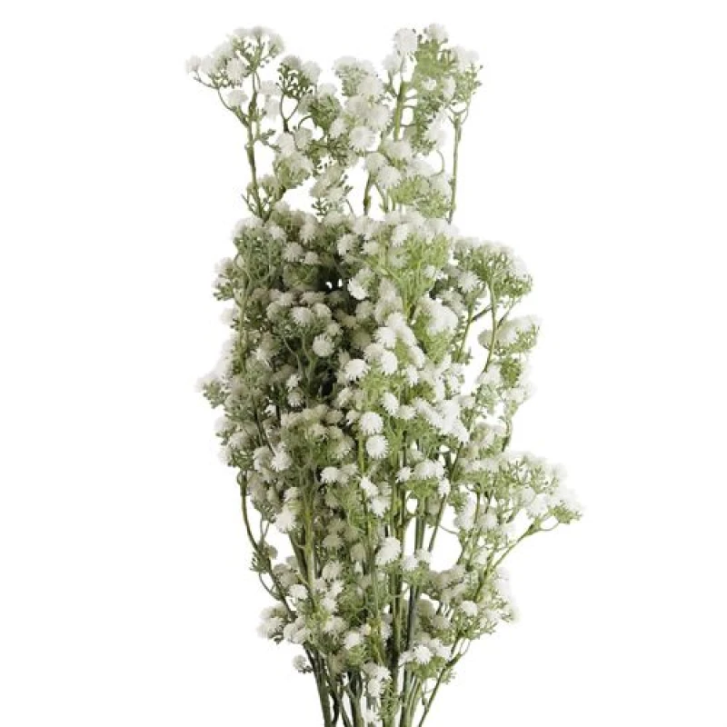 Image of Leaf Pack of 6 x 85cm Gypsophila White Stem