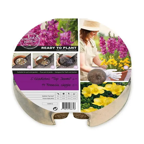 Image of YouGarden Plant-O-Mat Gladiolus and Freesia Kit - Multi 1 pack