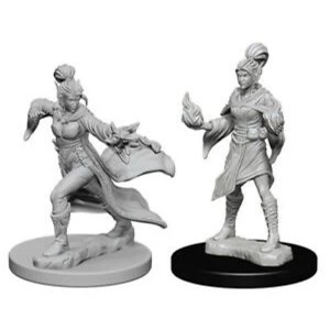 Image of Pathfinder Deep Cuts Unpainted Miniatures (W1) Elf Female Sorcerer