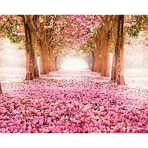 Image of ohpopsi Yonder Wall Mural Multi 14.4m L