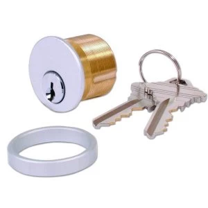 Image of Adams Rite 4036 Screw in Cylinder