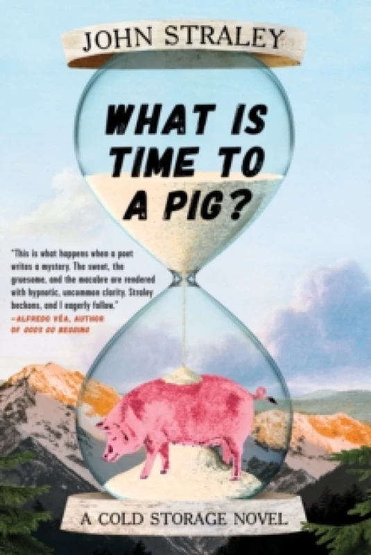 Image of What Is Time To A Pig? Paperback / softback
