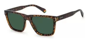 Image of Polaroid Sunglasses PLD 6176/S 086/UC