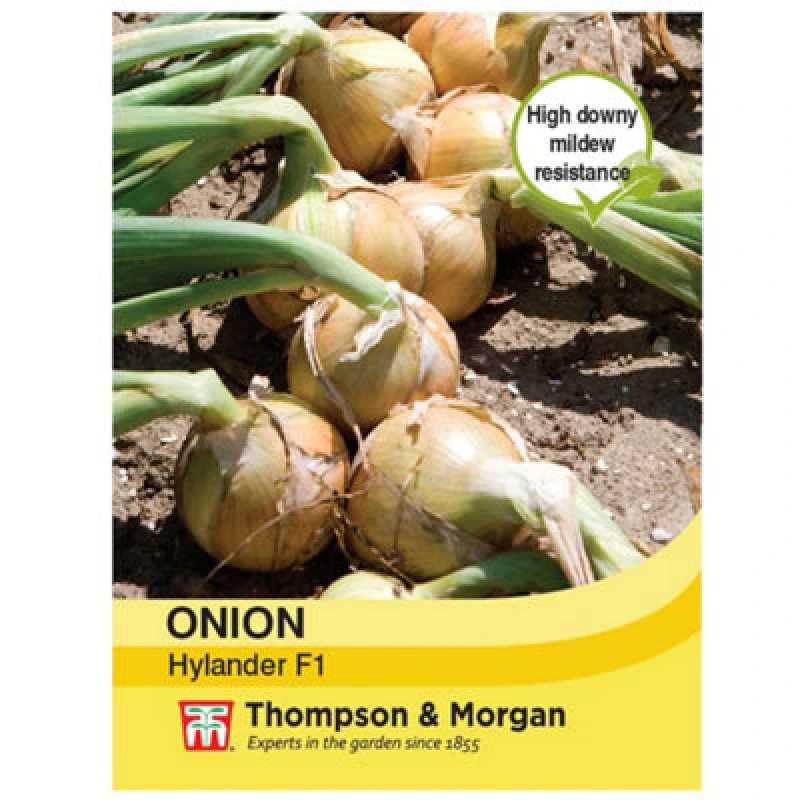 Image of Thompson & Morgan Onion Hylander 1 Seed Packet (125 Seeds)