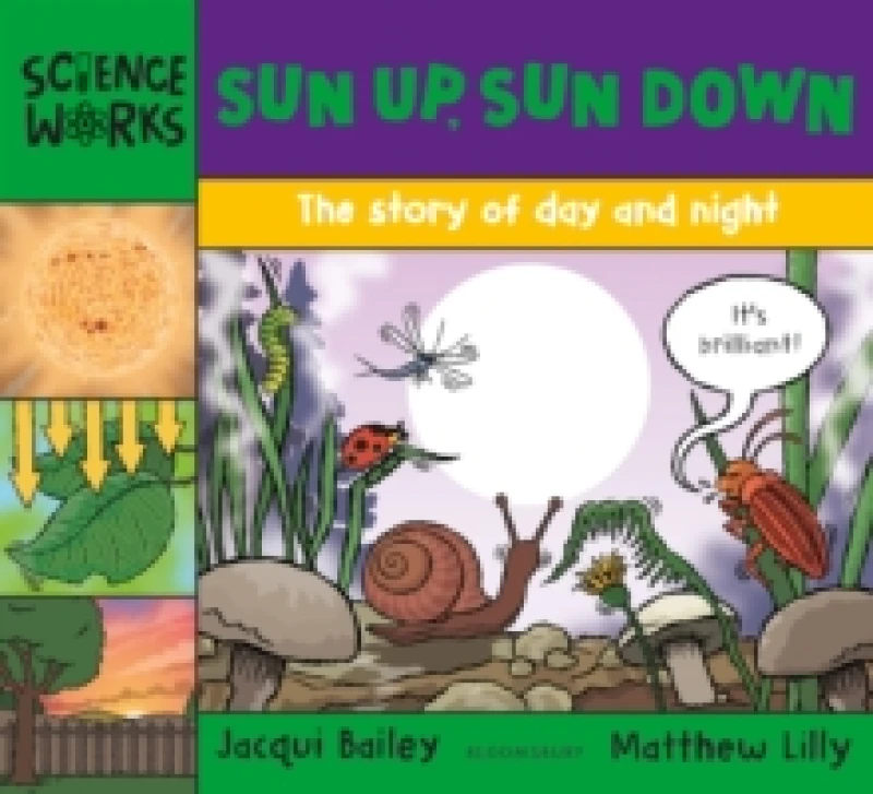 Image of Sun Up, Sun Down : The story of day and night Paperback / softback