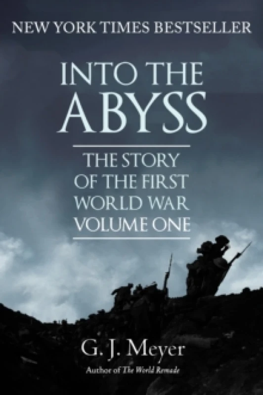 Image of Into The Abyss : The Story of the First World War, Volume One Paperback / softback