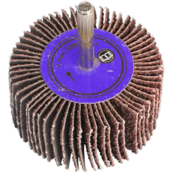 Image of Sealey Flap Wheel 50mm 25mm 60g