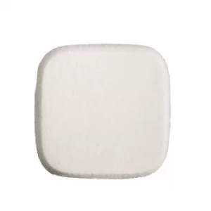 Image of DDP SPUGNA IN LATTICE