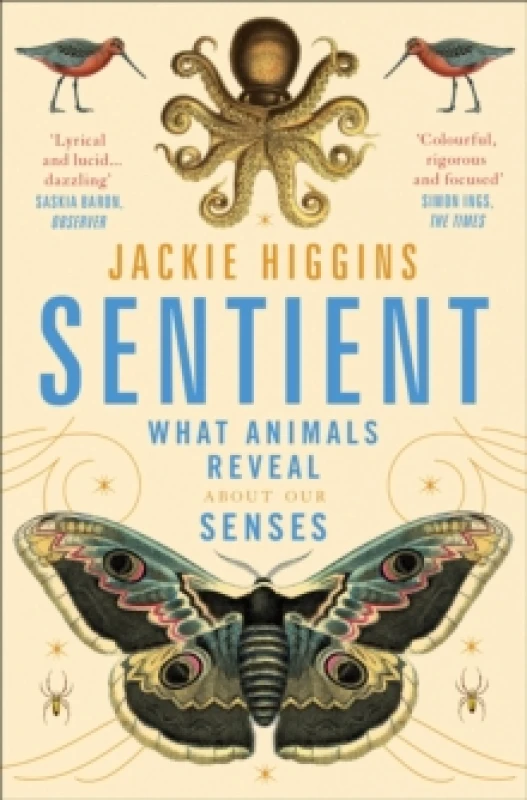 Image of Sentient : What Animals Reveal About Human Senses Paperback / softback