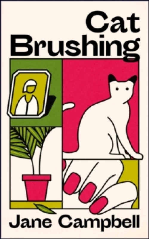 Image of Cat Brushing : a dazzling short story collection about thirteen older women Paperback / softback