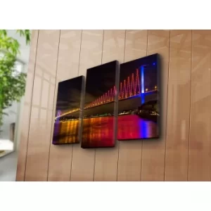 Image of 3KBPAT-28 Multicolor Decorative Canvas Painting (3 Pieces)