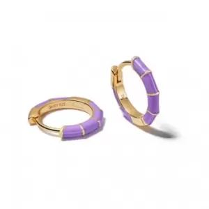 Image of Purple Stripe Huggie Hoop 18ct Gold Plated Earrings EE02_GP