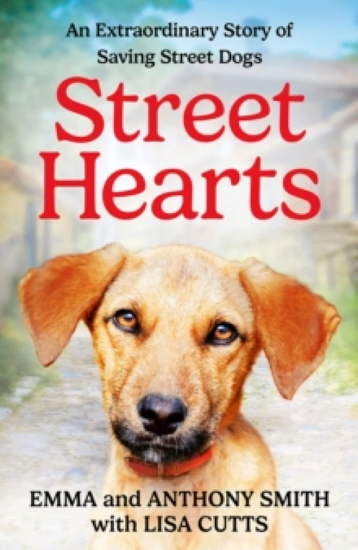 Image of Street Hearts. Paperback. By Emma Smith, Anthony Smith, Lisa Cutts Books