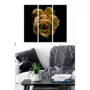 Image of MDF655359 Multicolor Decorative MDF Painting (3 Pieces)