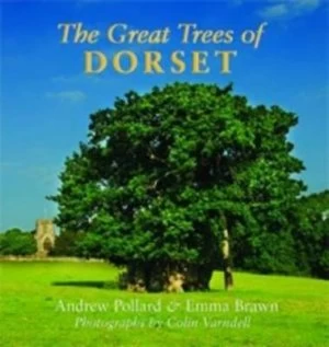Image of Great Trees of Dorset by Andrew Pollard Paperback