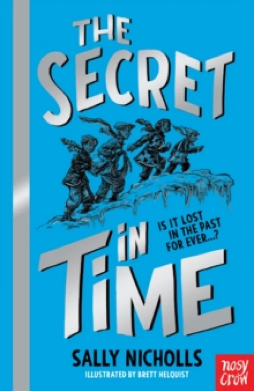 Image of Sally Nicholls A Secret in Time Book Multi unisex