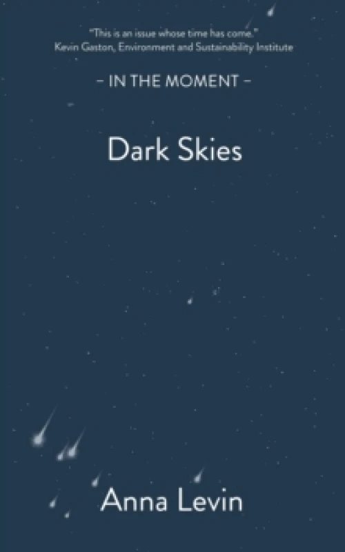 Image of Dark Skies Paperback / softback