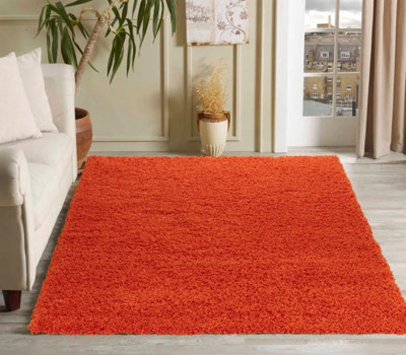 Image of Desire Rugs Plain Living Room Shaggy Area Rugs Orange 120X170 Cm
