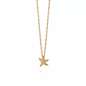 Image of Daisy London Jewellery 18ct Gold Plated Sterling Silver Isla Starfish Chain Necklace 18Ct Gold Plate