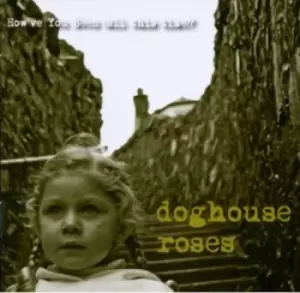 Image of Doghouse Roses - How've You Been (All This Time?) CD Album - Used