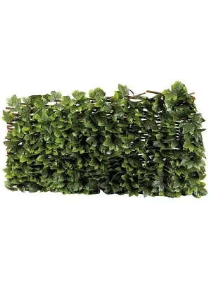 Image of Smart Solar Maple Leaf 180 X 90Cm Trellis