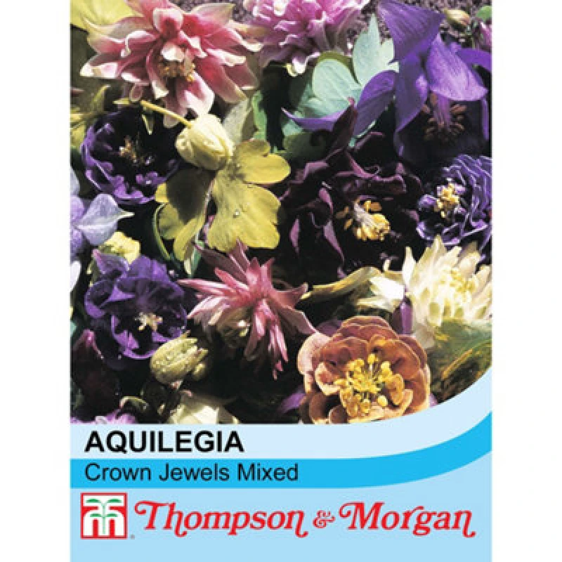 Image of Thompson & Morgan Aquilegiaxhybrida Crown Jewels Mixed 1 Packet (20 Seeds)