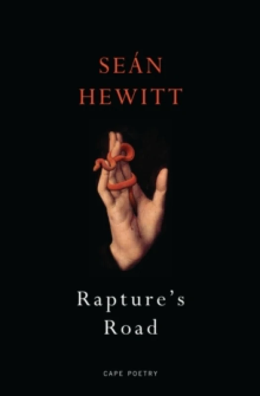 Image of Rapture's Road : from the author of All Down Darkness Wide Paperback / softback
