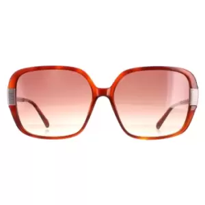 Image of Square Tortoise Brown Brown Gradient TB1616 Indi