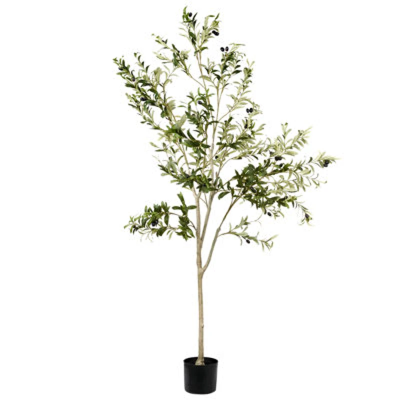 Image of Beliani Artificial Plant Olive Tree 178cm Green