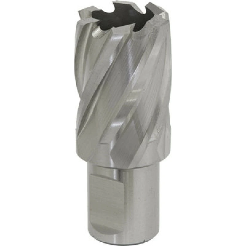 Image of Loops 25mm x 25mm Depth Rotabor Cutter - M2 Steel Annular Metal Core Drill 19mm Shank Metallics