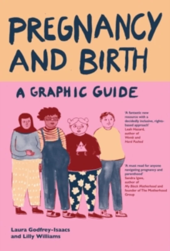 Image of Pregnancy and Birth: A Graphic Guide Paperback / softback
