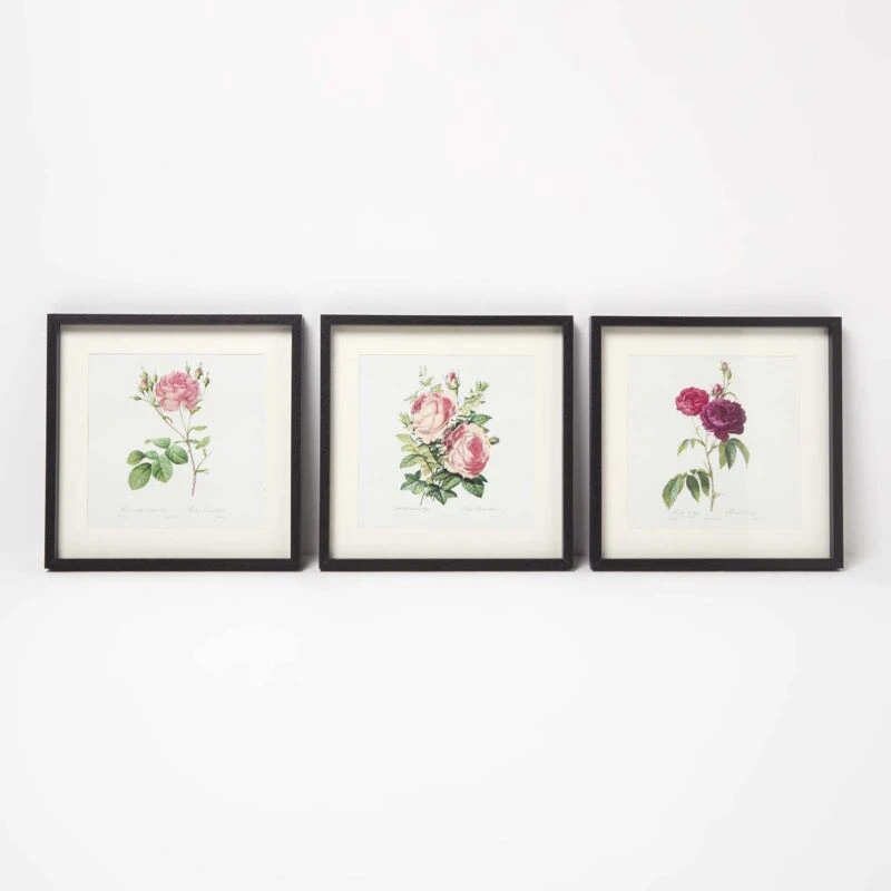 Image of Homescapes Wall Decoration Set of 3 Frames with Picture, Roses Multi