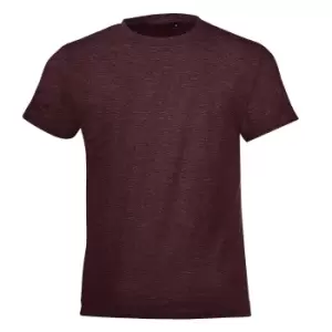 Image of SOLS Childrens/Kids Regent Short Sleeve Fitted T-Shirt (12 Years) (Heather Oxblood)
