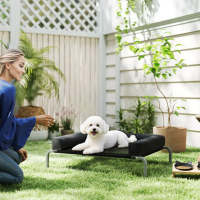 Image of PawHut Elevated Dog Bed, Raised Dog Bed with Removable Bolsters, Black D04-297V00BK