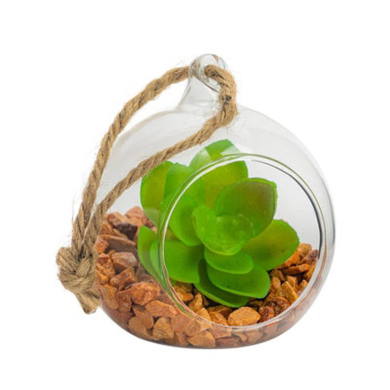 Image of Nicola Spring Hanging Glass Terrarium - 8Cm - Clear