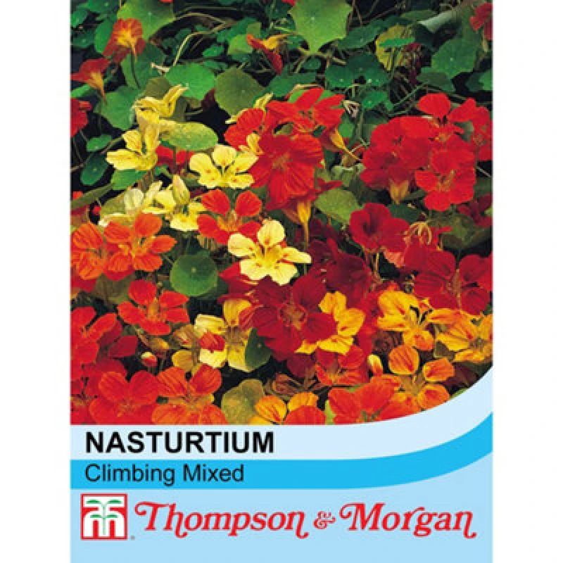 Image of THOMPSON & MORGAN Thompson&morgan - Nasturtium Climbing Mixed 1 Seed Packet (40 Seeds) 24151