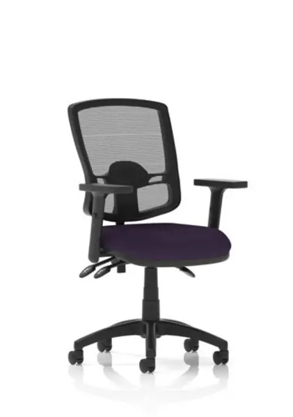 Image of Eclipse Eclipse Plus III Lever Task Operator Chair Deluxe Mesh Back With Bespoke Colour Seat In Tansy Purple With Height Adjustable Arms KCUP1681