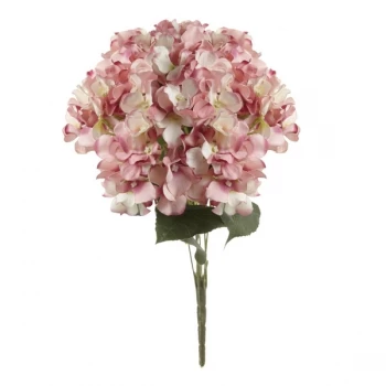 Image of Pink Hydrangea Bunch