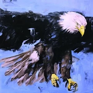 Image of Aquarius - Soulquencies Vinyl