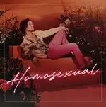 Image of Darren Hayes - Homosexual (Music CD)