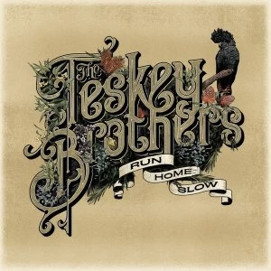 Image of Teskey Brothers - Run Home Slow Vinyl