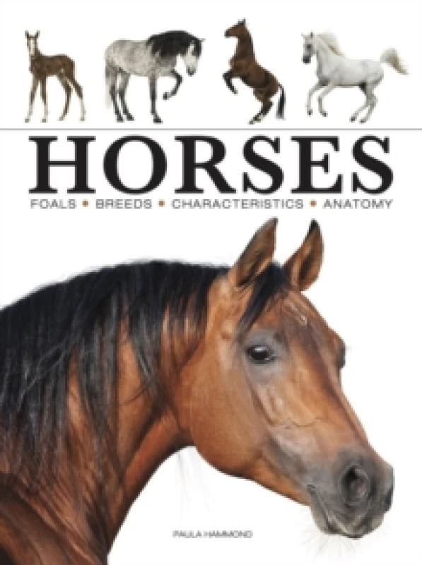 Image of Horses Paperback / softback