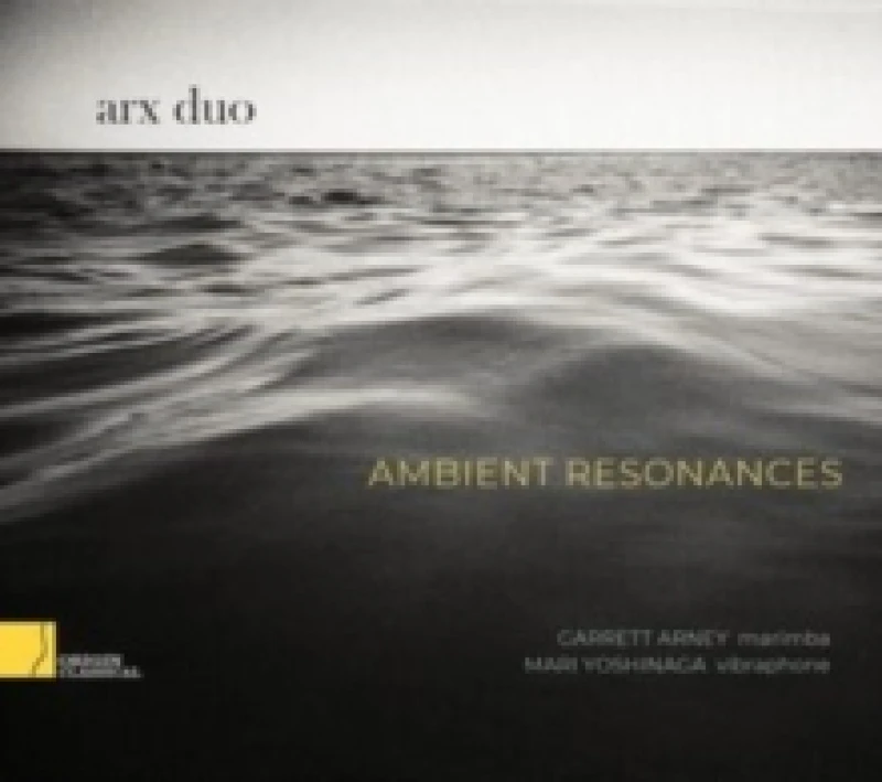 Image of Arx Duo: Ambient Resonances CD / Album
