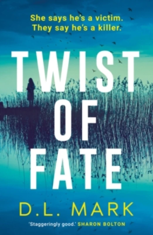 Image of Twist of Fate Paperback / softback
