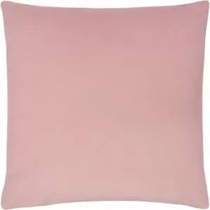 Image of Sunningdale Velvet Square Cushion Powder, Powder / 50 x 50cm / Polyester Filled