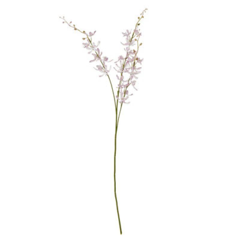 Image of Lilac Cymbidium Spray