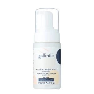 Image of Gallinee Foaming Facial Cleanser (120ml)