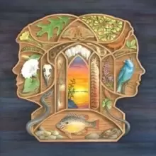 Image of The Other Years