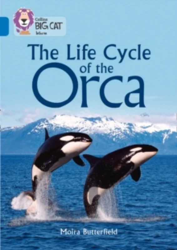 Image of Moira Butterfield The Life Cycle of the Orca Book Multi unisex