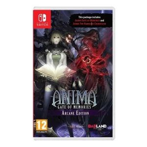 Image of Anima Gate of Memories Nintendo Switch Game